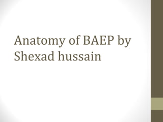Anatomy of BAEP by
Shexad hussain
 