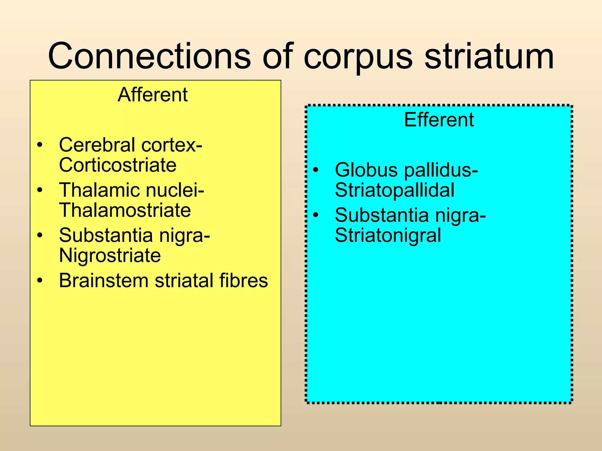 Connections of corpus striatum Afferent  Cerebral cortex-Corticostriate Thalamic nuclei-Thalamostriate Substantia nigra-Nigrostriate Brainstem striatal fibres Efferent Globus pallidus-Striatopallidal Substantia nigra-Striatonigral  