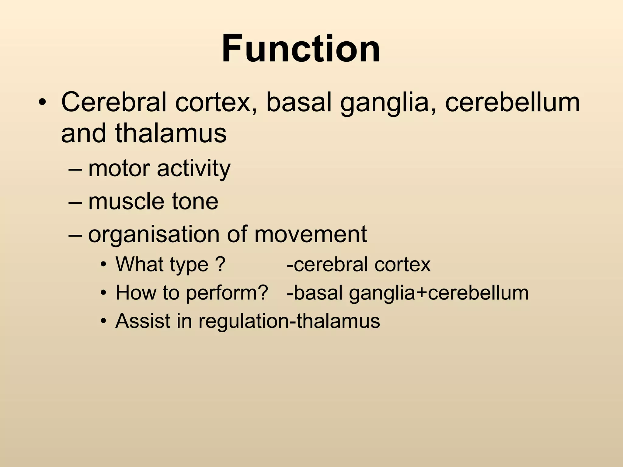 Function  Cerebral cortex, basal ganglia, cerebellum and thalamus motor activity muscle tone organisation of movement What type ? -cerebral cortex How to perform? -basal ganglia+cerebellum Assist in regulation-thalamus 