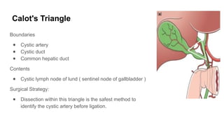 Triangle Callot Comprehensive Anatomy and Congenital Anomalies of the Biliary System | PPTX