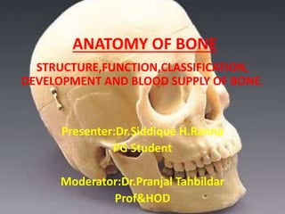 ANATOMY OF BONE
STRUCTURE,FUNCTION,CLASSIFICATION,
DEVELOPMENT AND BLOOD SUPPLY OF BONE.
Presenter:Dr.Siddique H.Ranna
PG Student
Moderator:Dr.Pranjal Tahbildar
Prof&HOD
 