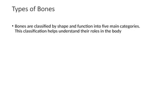 Bone Roles ANATOMY OF BONE , types of bone , blood supply of bone | PPTX