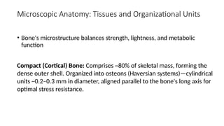 Parallel Medium Bone ANATOMY OF BONE , types of bone , blood supply of bone | PPTX