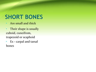Anatomy And Physiology of cartilage | PPT