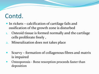 Anatomy of bone and cartilage 1 | PPTX