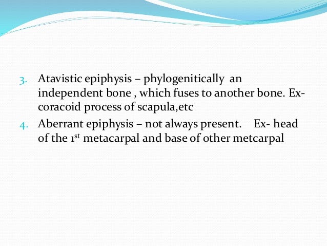 Anatomy of bone and cartilage 1