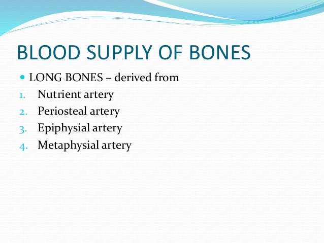 Anatomy of bone and cartilage 1