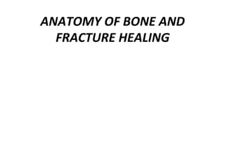 ANATOMY OF BONE AND
FRACTURE HEALING
 