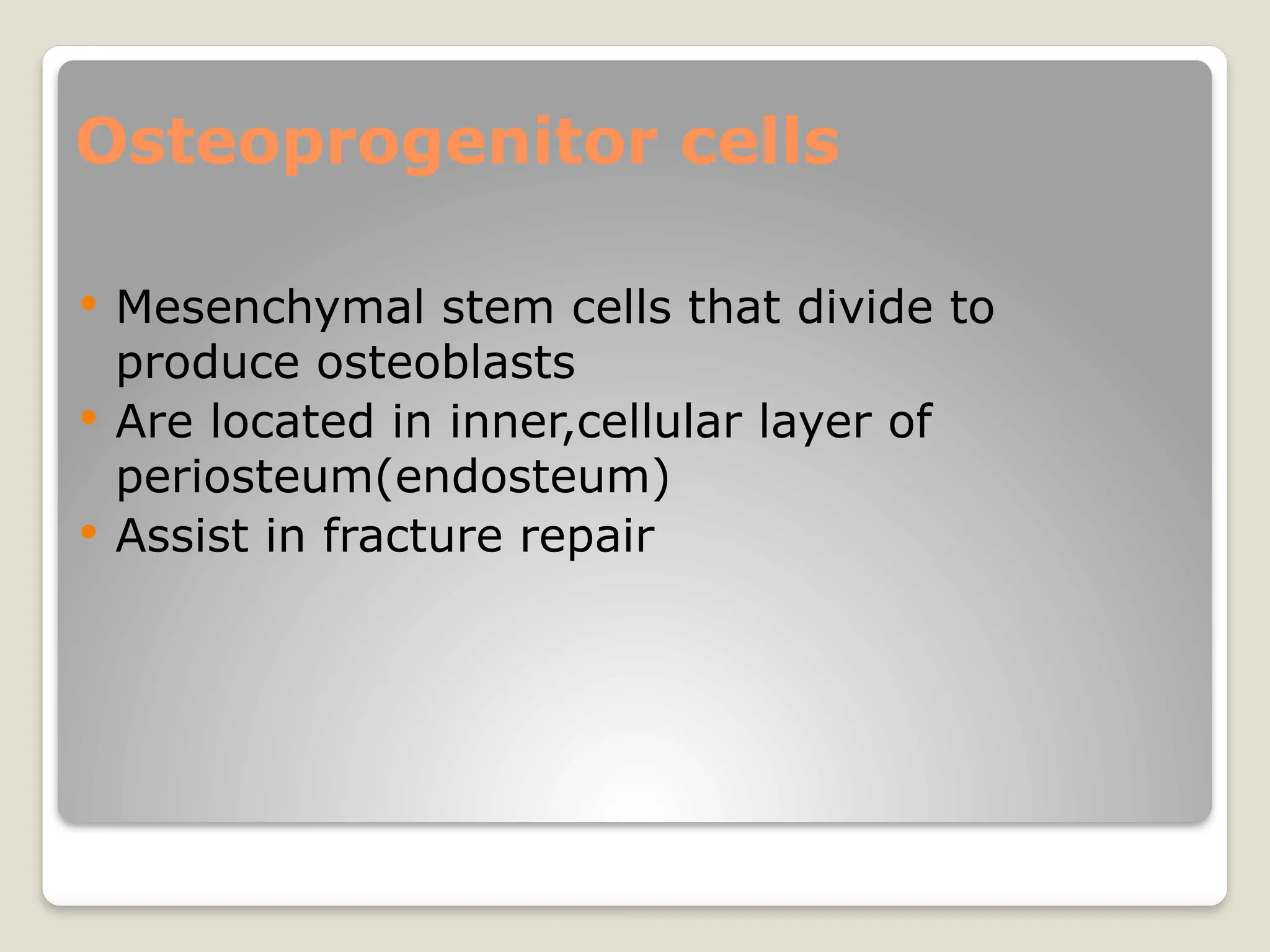 Osteoprogenitor cells
 Mesenchymal stem cells that divide to
produce osteoblasts
 Are located in inner,cellular layer of
periosteum(endosteum)
 Assist in fracture repair
 