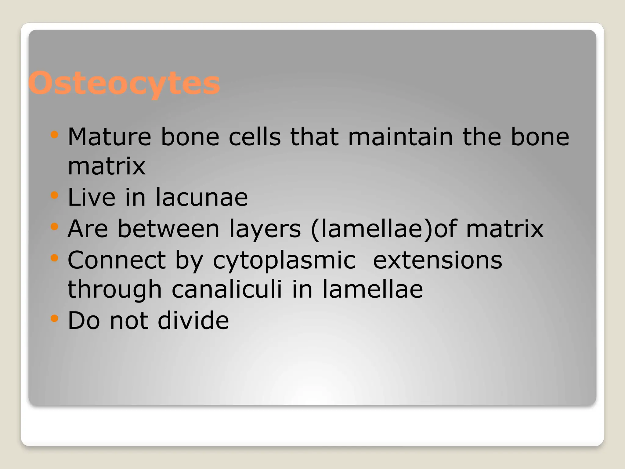 Osteocytes
 Mature bone cells that maintain the bone
matrix
 Live in lacunae
 Are between layers (lamellae)of matrix
 Connect by cytoplasmic extensions
through canaliculi in lamellae
 Do not divide
 