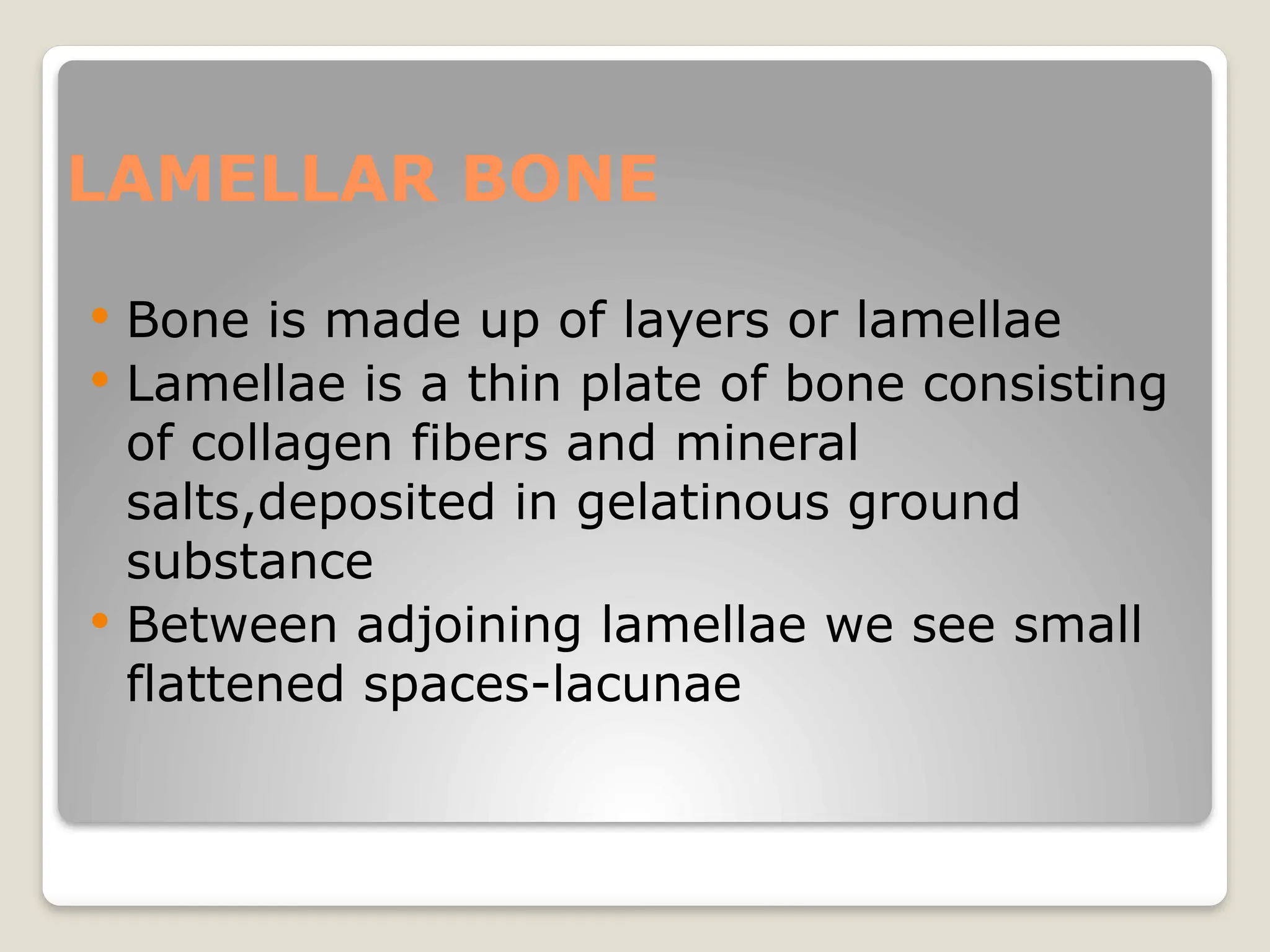 LAMELLAR BONE
 Bone is made up of layers or lamellae
 Lamellae is a thin plate of bone consisting
of collagen fibers and mineral
salts,deposited in gelatinous ground
substance
 Between adjoining lamellae we see small
flattened spaces-lacunae
 