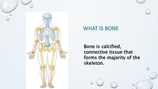 Anatomy of bones | PPTX