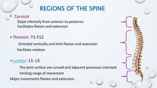Anatomy of bones | PPTX