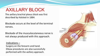 Anatomy of brachial plexus | PPTX