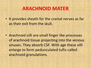 ARACHNOID MATER
• It provides sheath for the cranial nerves as far
as their exit from the skull.
• Arachnoid villi are small finger like processes
of arachnoid tissue projecting into the venous
sinuses. They absorb CSF. With age these villi
enlarge to form pedunculated tufts called
arachnoid granulations.
 
