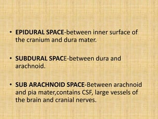 • EPIDURAL SPACE-between inner surface of
the cranium and dura mater.
• SUBDURAL SPACE-between dura and
arachnoid.
• SUB ARACHNOID SPACE-Between arachnoid
and pia mater,contains CSF, large vessels of
the brain and cranial nerves.
 