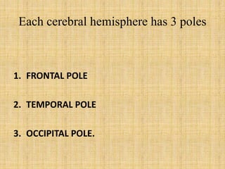Each cerebral hemisphere has 3 poles
1. FRONTAL POLE
2. TEMPORAL POLE
3. OCCIPITAL POLE.
 