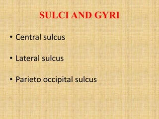 SULCI AND GYRI
• Central sulcus
• Lateral sulcus
• Parieto occipital sulcus
.
 