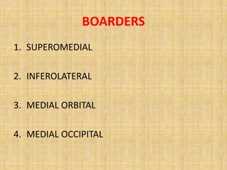 BOARDERS
1. SUPEROMEDIAL
2. INFEROLATERAL
3. MEDIAL ORBITAL
4. MEDIAL OCCIPITAL
 