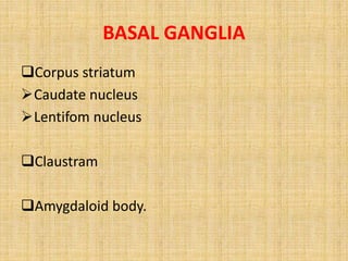 BASAL GANGLIA
Corpus striatum
Caudate nucleus
Lentifom nucleus
Claustram
Amygdaloid body.
 