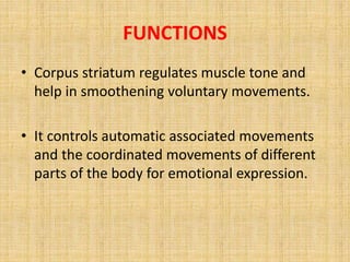 FUNCTIONS
• Corpus striatum regulates muscle tone and
help in smoothening voluntary movements.
• It controls automatic associated movements
and the coordinated movements of different
parts of the body for emotional expression.
 