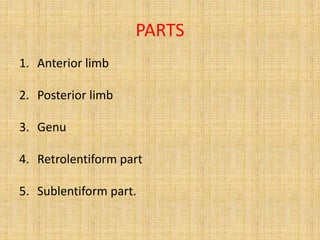 PARTS
1. Anterior limb
2. Posterior limb
3. Genu
4. Retrolentiform part
5. Sublentiform part.
 
