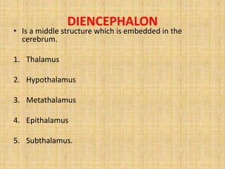 DIENCEPHALON
• Is a middle structure which is embedded in the
cerebrum.
1. Thalamus
2. Hypothalamus
3. Metathalamus
4. Epithalamus
5. Subthalamus.
 