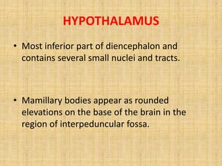 HYPOTHALAMUS
• Most inferior part of diencephalon and
contains several small nuclei and tracts.
• Mamillary bodies appear as rounded
elevations on the base of the brain in the
region of interpeduncular fossa.
 