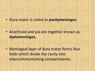 • Dura mater is called as pachymeninges.
• Arachnoid and pia are togather known as
leptomeninges.
• Meningeal layer of dura mater forms four
folds which divide the cavity into
intercommunicating compartments.
 