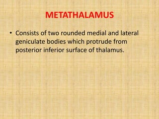 METATHALAMUS
• Consists of two rounded medial and lateral
geniculate bodies which protrude from
posterior inferior surface of thalamus.
 