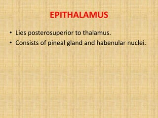 EPITHALAMUS
• Lies posterosuperior to thalamus.
• Consists of pineal gland and habenular nuclei.
 