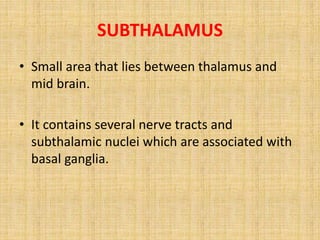 SUBTHALAMUS
• Small area that lies between thalamus and
mid brain.
• It contains several nerve tracts and
subthalamic nuclei which are associated with
basal ganglia.
 
