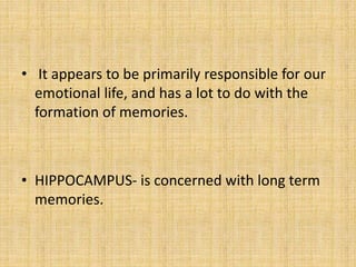 • It appears to be primarily responsible for our
emotional life, and has a lot to do with the
formation of memories.
• HIPPOCAMPUS- is concerned with long term
memories.
 