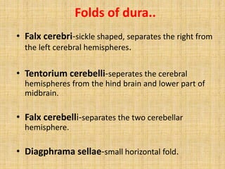 Folds of dura..
• Falx cerebri-sickle shaped, separates the right from
the left cerebral hemispheres.
• Tentorium cerebelli-seperates the cerebral
hemispheres from the hind brain and lower part of
midbrain.
• Falx cerebelli-separates the two cerebellar
hemisphere.
• Diagphrama sellae-small horizontal fold.
 