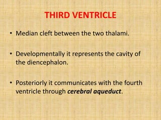 THIRD VENTRICLE
• Median cleft between the two thalami.
• Developmentally it represents the cavity of
the diencephalon.
• Posteriorly it communicates with the fourth
ventricle through cerebral aqueduct.
 