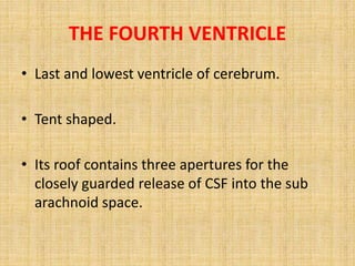THE FOURTH VENTRICLE
• Last and lowest ventricle of cerebrum.
• Tent shaped.
• Its roof contains three apertures for the
closely guarded release of CSF into the sub
arachnoid space.
 