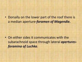 • Dorsally on the lower part of the roof there is
a median aperture-foramen of Magendie.
• On either sides it communicates with the
subarachnoid space through lateral apertures-
foramina of Luchka.
 