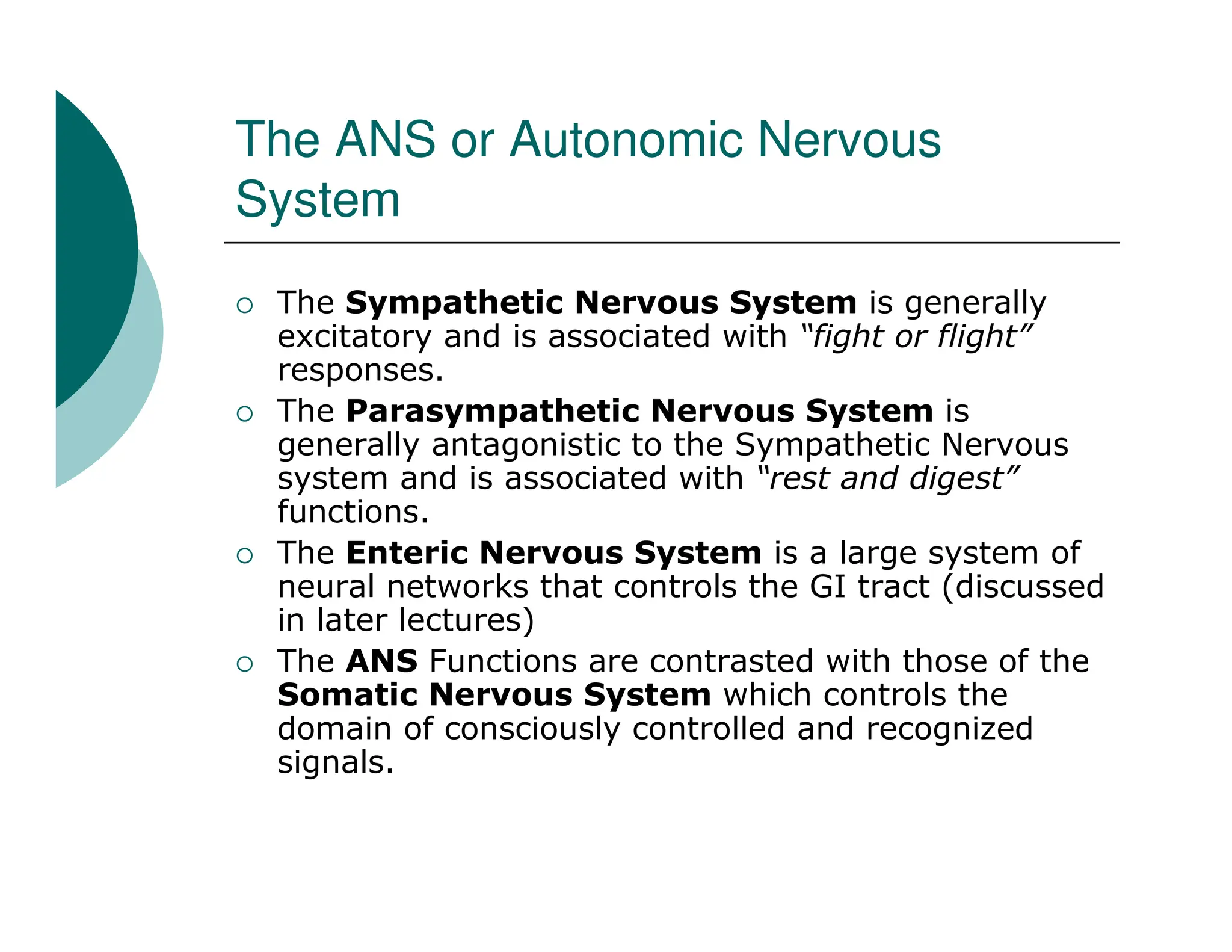 Anatomy of Brain and the Nervous System.pdf