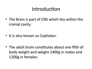 Comprehensive Overview of Human Brain Anatomy and Development | PPTX