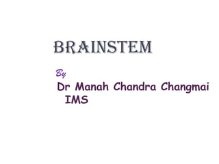 Brainstem,[object Object],By,[object Object],Dr Manah Chandra Changmai,[object Object],    IMS,[object Object]