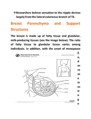 Breast Anatomy: Overview, Vascular Anatomy and Innervation of the Breast,  Breast Parenchyma and Support Structures