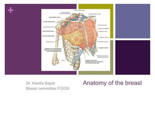 +
Anatomy of the breastDr. Kawita Bapat
Breast committee FOGSI
 