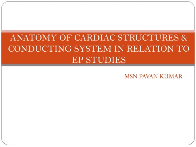 Anatomy of cardiac structures & conducting system in | PPT