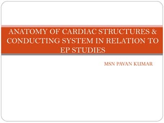 ANATOMY OF CARDIAC STRUCTURES &
CONDUCTING SYSTEM IN RELATION TO
          EP STUDIES
                    MSN PAVAN KUMAR
 