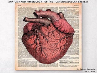 ANATOMY AND PHYSIOLOGY OF THE CARDIOVASCULAR SYSTEM
Dr. Pallavi Pathania.
Ph.D , MSN.
 