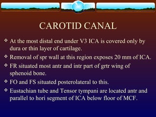 CAROTID CANAL
 At the most distal end under V3 ICA is covered only by
dura or thin layer of cartilage.
 Removal of spr wall at this region exposes 20 mm of ICA.
 FR situated most antr and intr part of grtr wing of
sphenoid bone.
 FO and FS situated posterolateral to this.
 Eustachian tube and Tensor tympani are located antr and
parallel to hori segment of ICA below floor of MCF.
 
