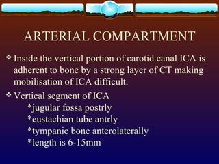 ARTERIAL COMPARTMENT
 Inside the vertical portion of carotid canal ICA is
adherent to bone by a strong layer of CT making
mobilisation of ICA difficult.
 Vertical segment of ICA
*jugular fossa postrly
*eustachian tube antrly
*tympanic bone anterolaterally
*length is 6-15mm
 