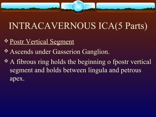 INTRACAVERNOUS ICA(5 Parts)
 Postr Vertical Segment
 Ascends under Gasserion Ganglion.
 A fibrous ring holds the beginning o fpostr vertical
segment and holds between lingula and petrous
apex.
 