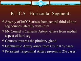 IC-ICA Horizontal Segment.
 Arteruy of Inf CS arises from central third of hori
seg courses laterally with 6th
N
 Mc Connel`s Capsular Artery -arises from medial
aspect of hori seg
 Courses towards the pituitary gland
 Ophthalmic Artery arises from CS in 8 % cases
 Persistent Trigeminal Artery present in 2% cases
 