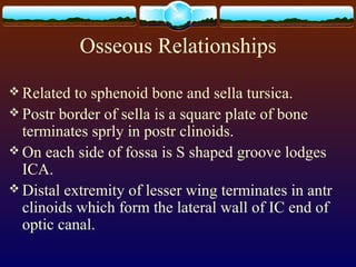 Osseous Relationships
 Related to sphenoid bone and sella tursica.
 Postr border of sella is a square plate of bone
terminates sprly in postr clinoids.
 On each side of fossa is S shaped groove lodges
ICA.
 Distal extremity of lesser wing terminates in antr
clinoids which form the lateral wall of IC end of
optic canal.
 